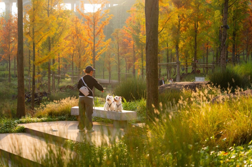 重庆麓溪湖·原滩公园丨中国重庆丨WTD纬图设计-40