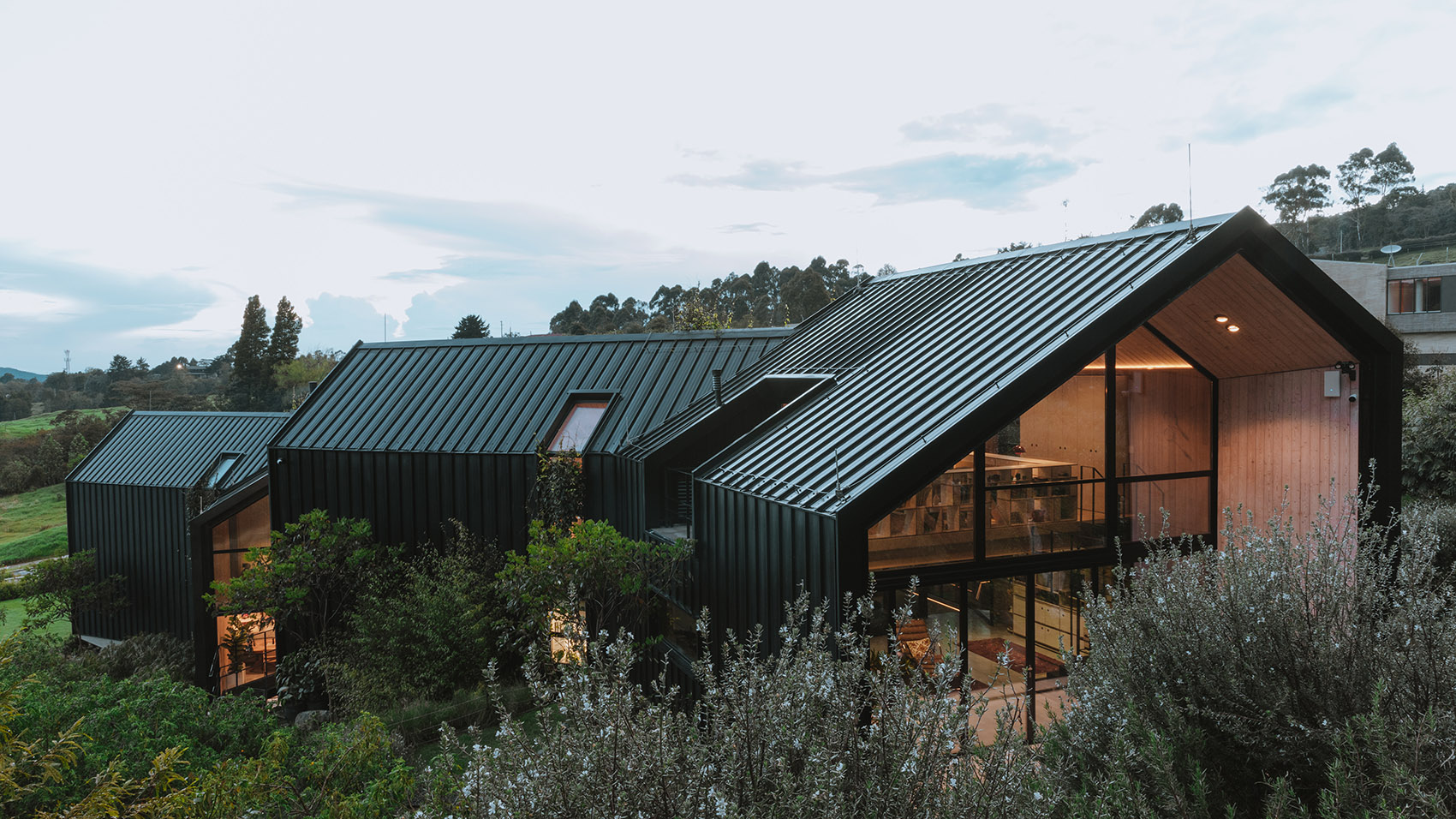 KRUPPA 住宅丨哥伦比亚丨Capa Arquitecture-3