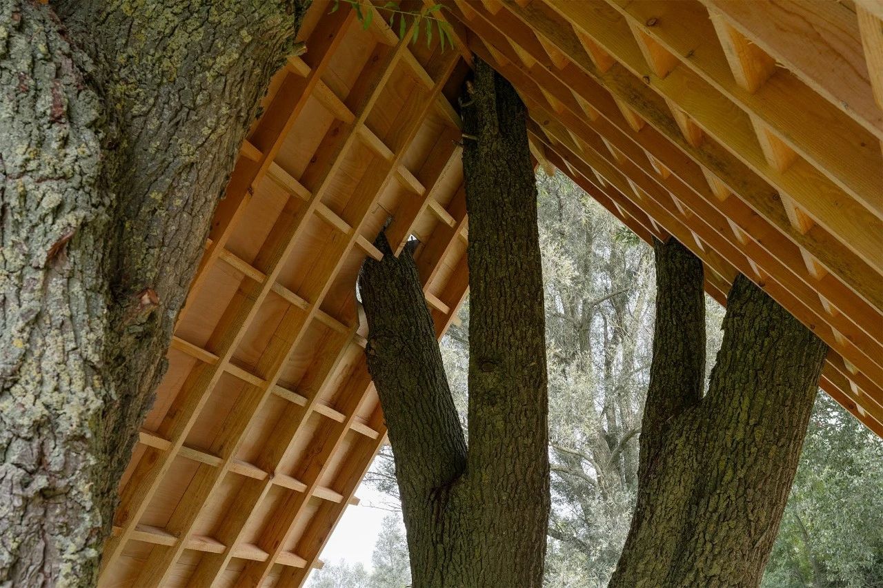 庇护所;避难所;掩蔽处丨荷兰丨比利时事务所 Gijs van vaerenbergh-18