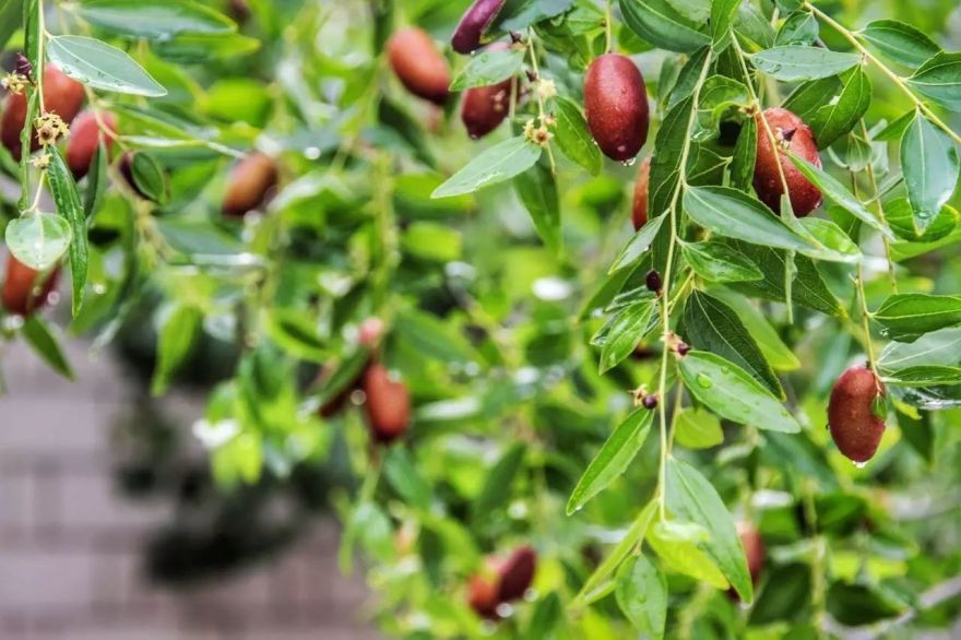 西安“小岳岳”放着豪宅不住,却跑到大山里花费百万爆改四合院,这一次却火爆整个民宿圈-156