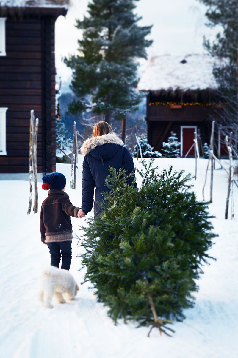 挪威 Storfjord 酒店 | 传统木屋与迷人峡湾美景的完美结合-23
