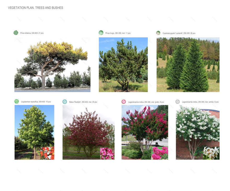 柔道联合会·训练中心丨阿塞拜疆丨Beloded Landscaping-13