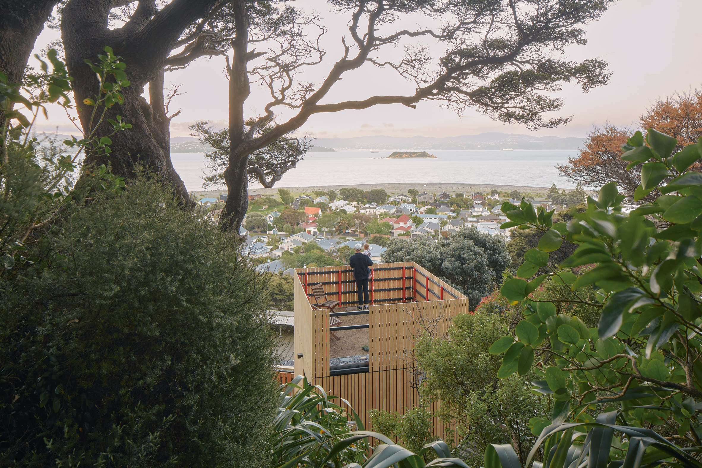 Towering house extension in New Zealand mimics "childhood treehouse"-7