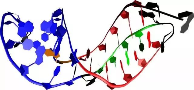 《Science》公布的 125 个最具挑战性的科学问题，你感兴趣的是哪个？-118