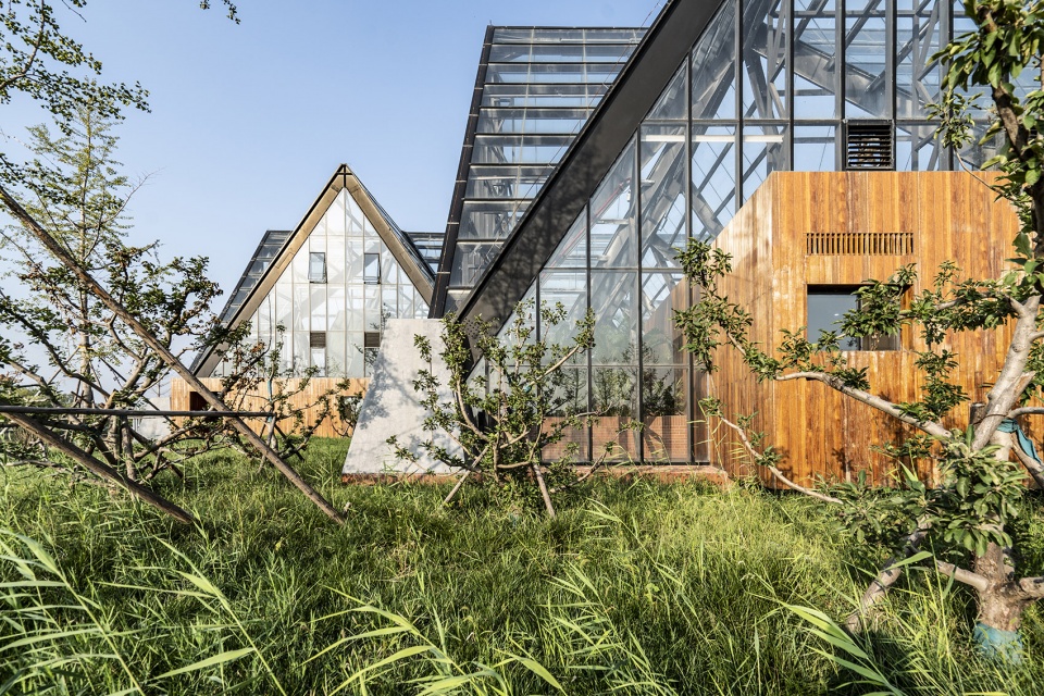 衡水植物园温室展览馆丨中国河北丨空格建筑-47