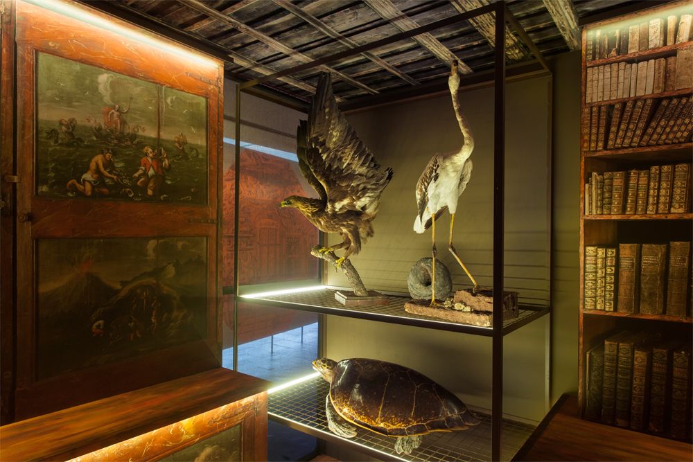 SALVADORIANA科学藏品展丨西班牙巴塞罗那丨emiliana design studio-9