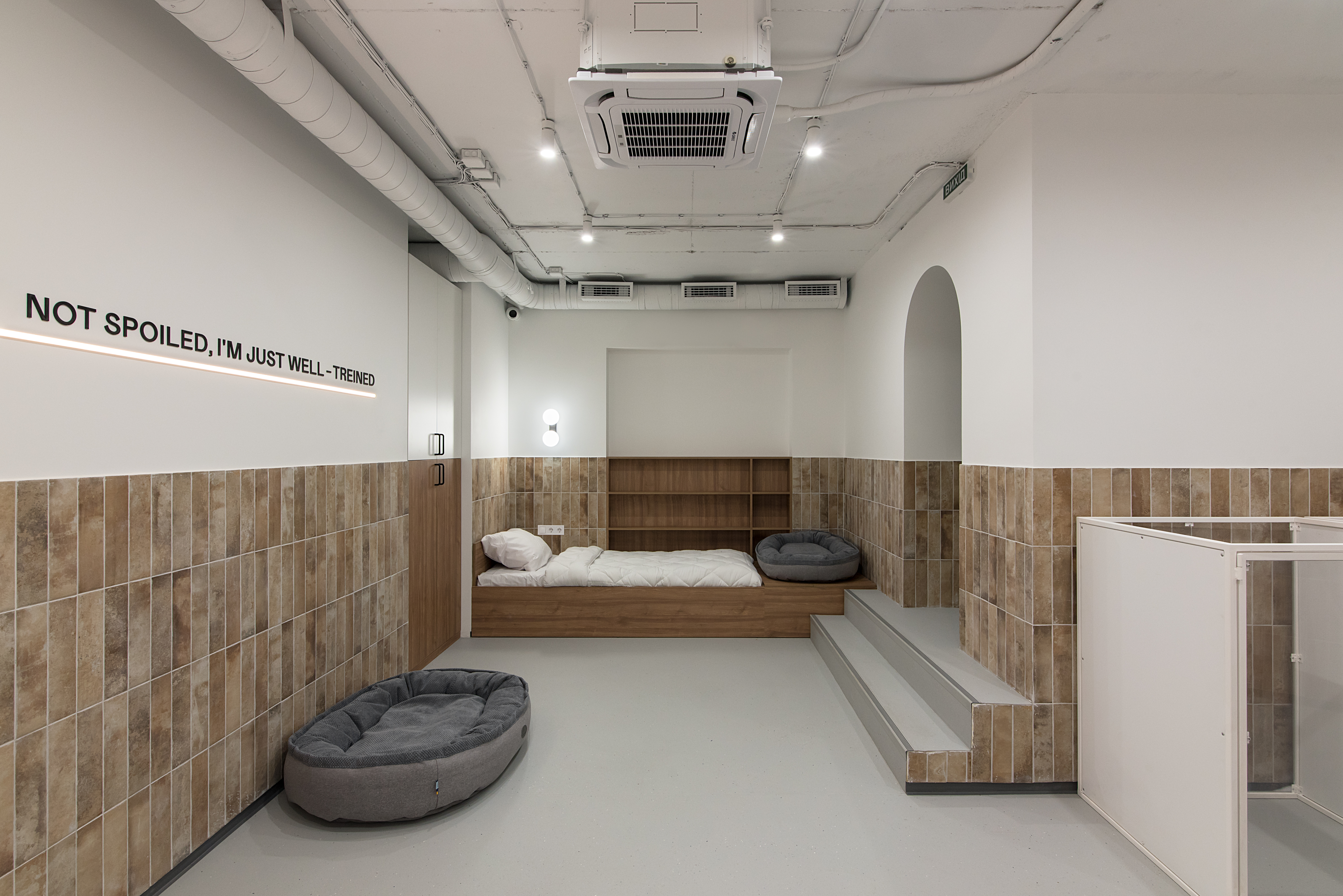 宠物医院丨乌克兰基辅-37