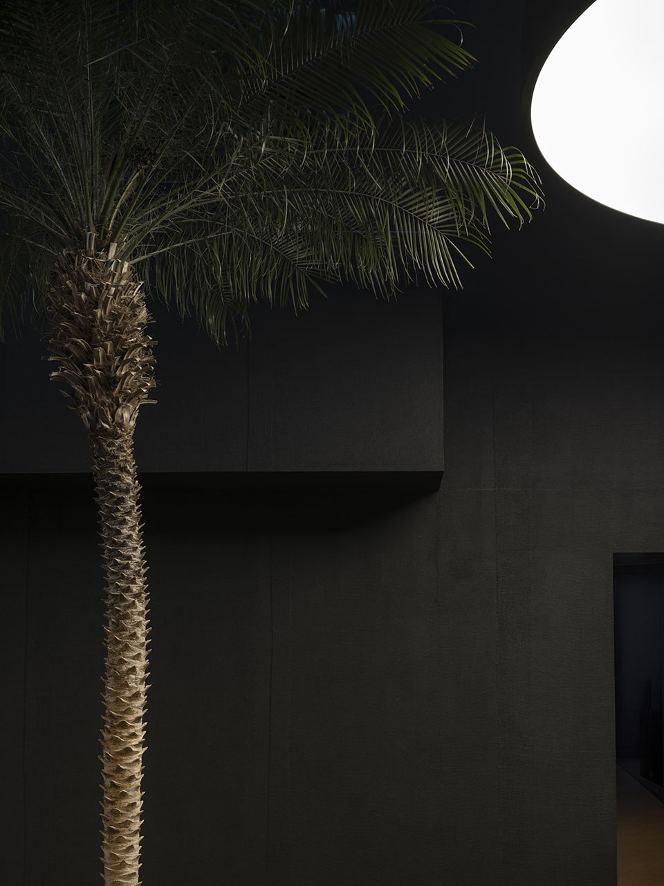 FILM NOIR 电影后期工作室 · 暗夜之舞丨瑞士日内瓦-19