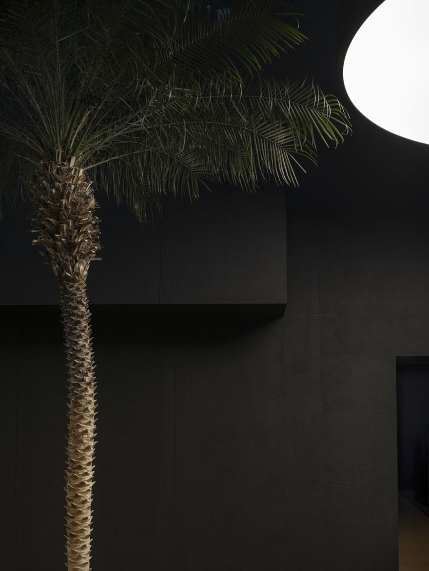 FILM NOIR 电影后期工作室 · 暗夜之舞丨瑞士日内瓦-19