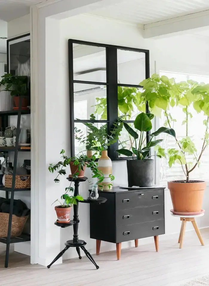 绿意盎然 · 北欧风家居的植物魔法-7