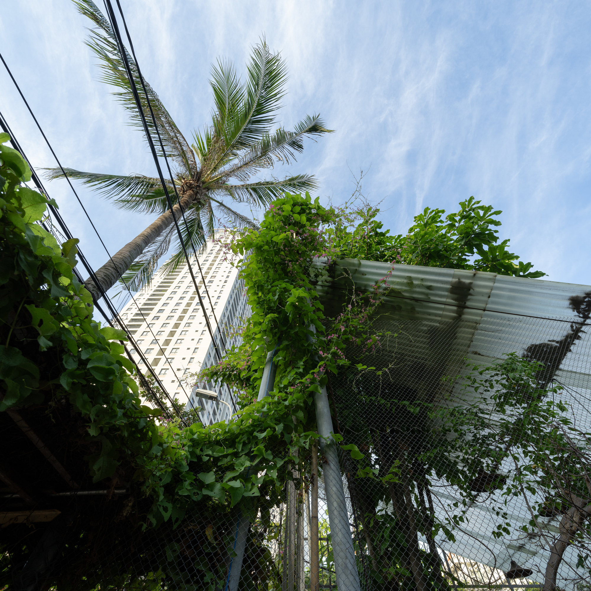 咖啡店丨越南丨xưởng xép-43