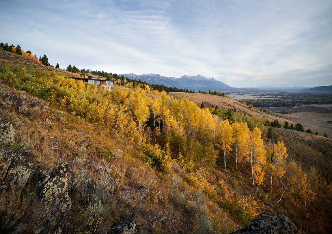 平静的自然建筑 · CLB Architects丨美国杰克逊-0