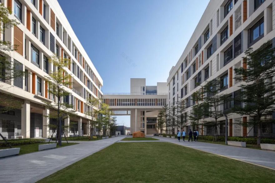 夏至丨夏至已至,万物繁茂-7