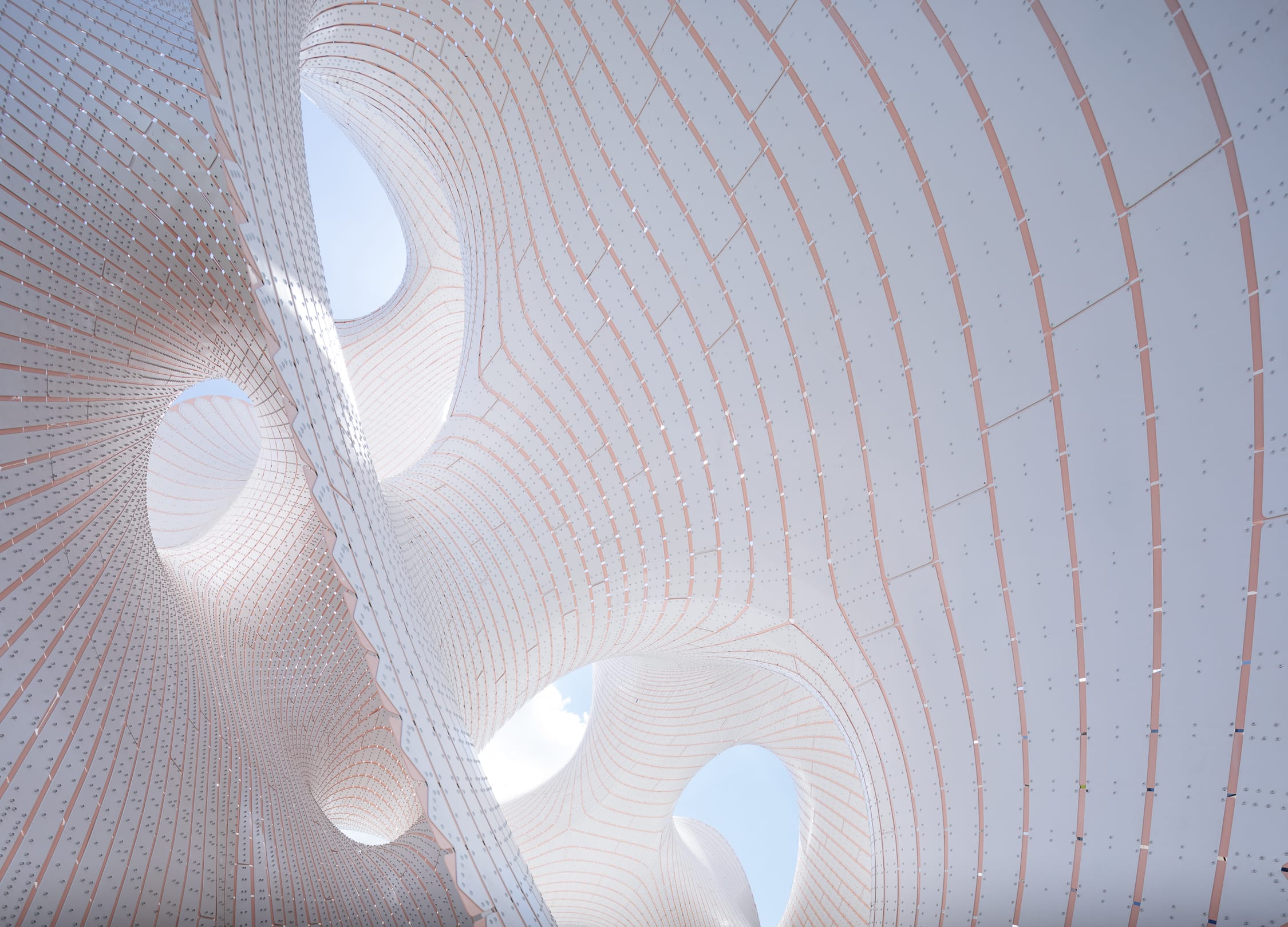 哈萨克斯坦白色卷曲亭-15