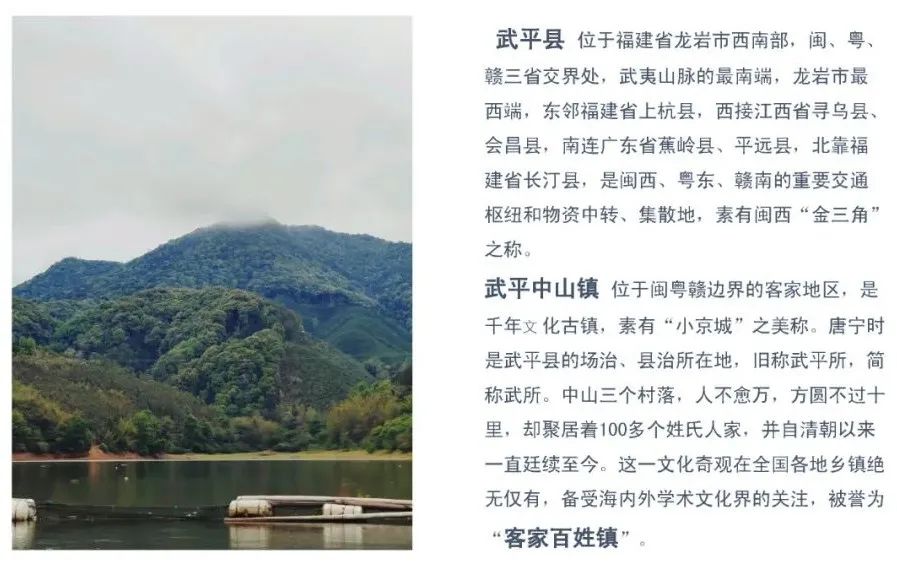 福建龙沟湾民宿——有机建筑与自然的和谐交融-3