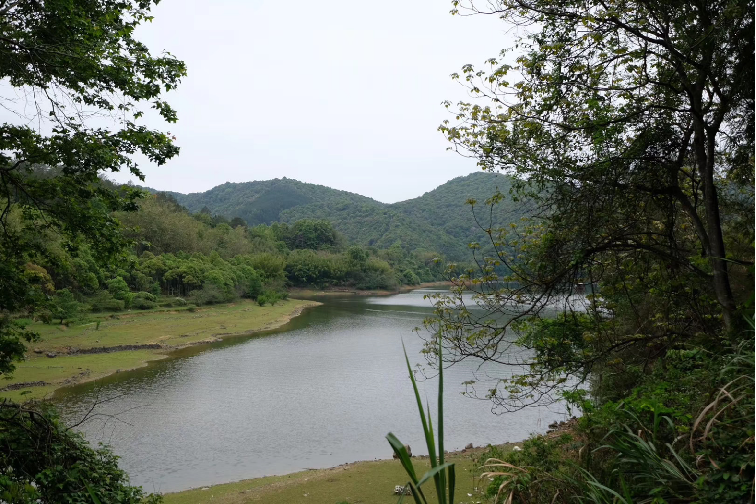 福建龙沟湾民宿——有机建筑与自然的和谐交融-100