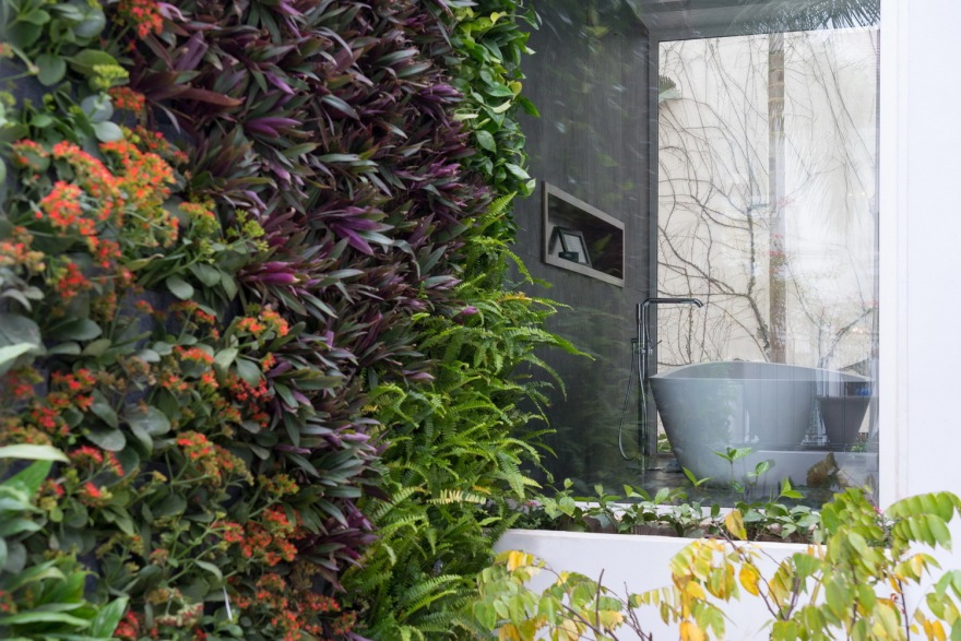 浸泡屋或浸渍房-50