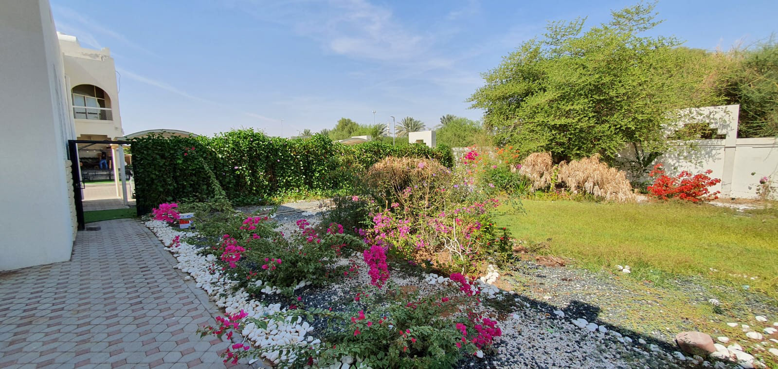 别墅后院花园丨laarte.ae-31