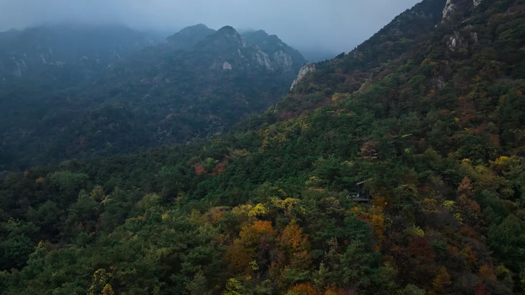 临崖与框悠丨中国烟台丨大小景观-23