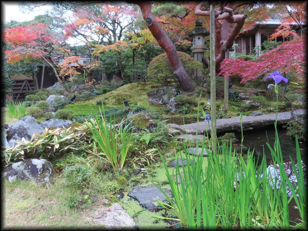 南禅寺参道菊水·红叶之庭园丨七代目小川治兵衛-33