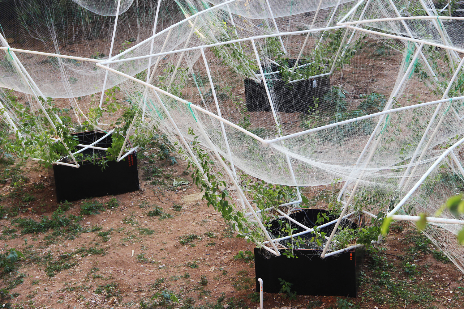 深圳天际农场 · 农民智慧融入城市更新-20