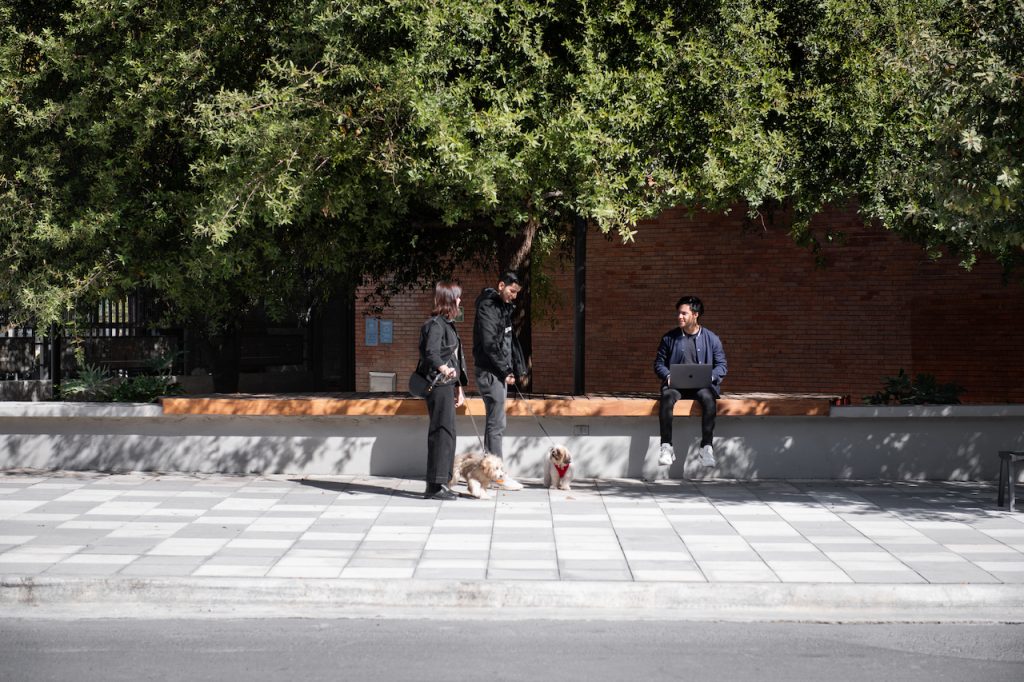 墨西哥城市更新之作 | Arizona 广场-12