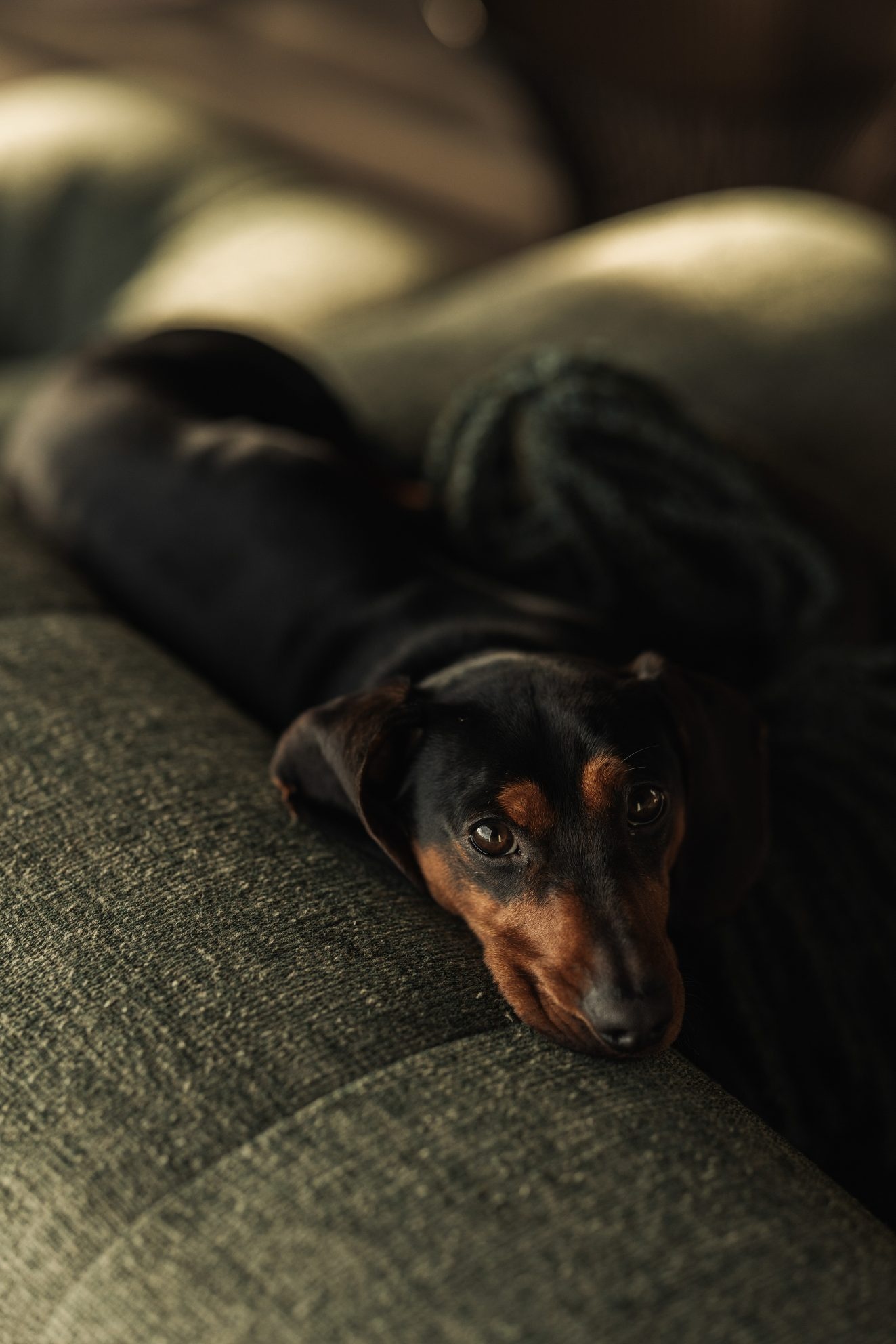 客餐厅丨比利时西佛兰德丨TJIP interior architects-43