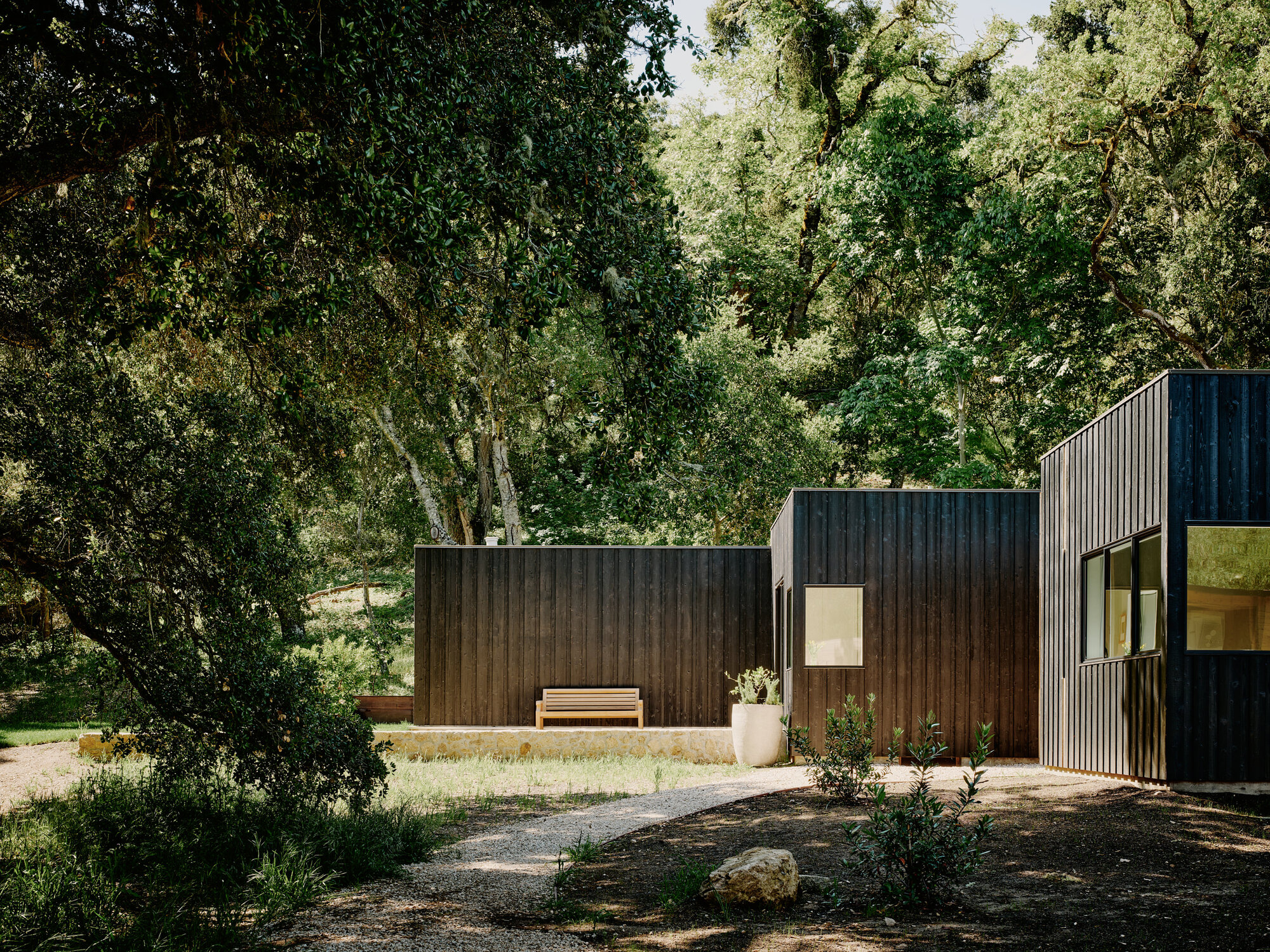 丨美国丨Studio Schicketanz-25