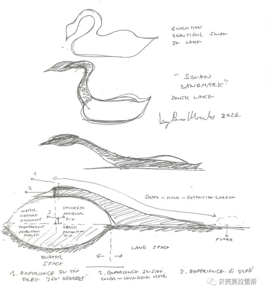 彭州城市新地标设计丨贝壳莫拉雷斯-38