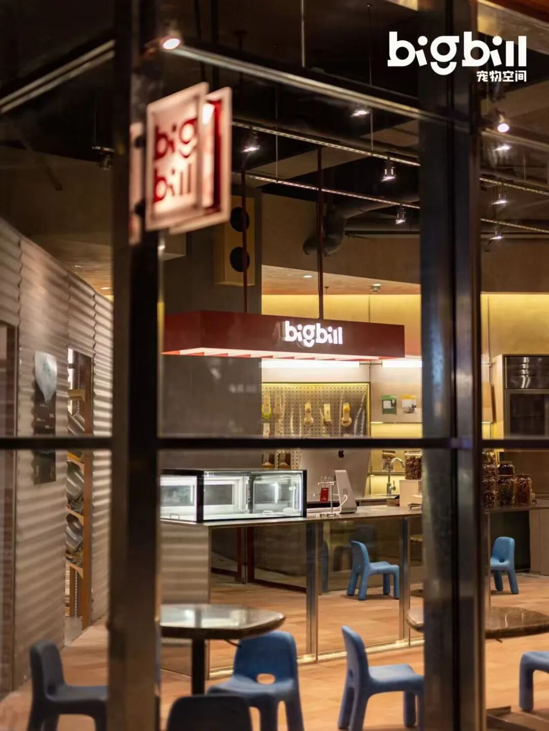 立衡中灯光实景xBIGBILL宠物店-18