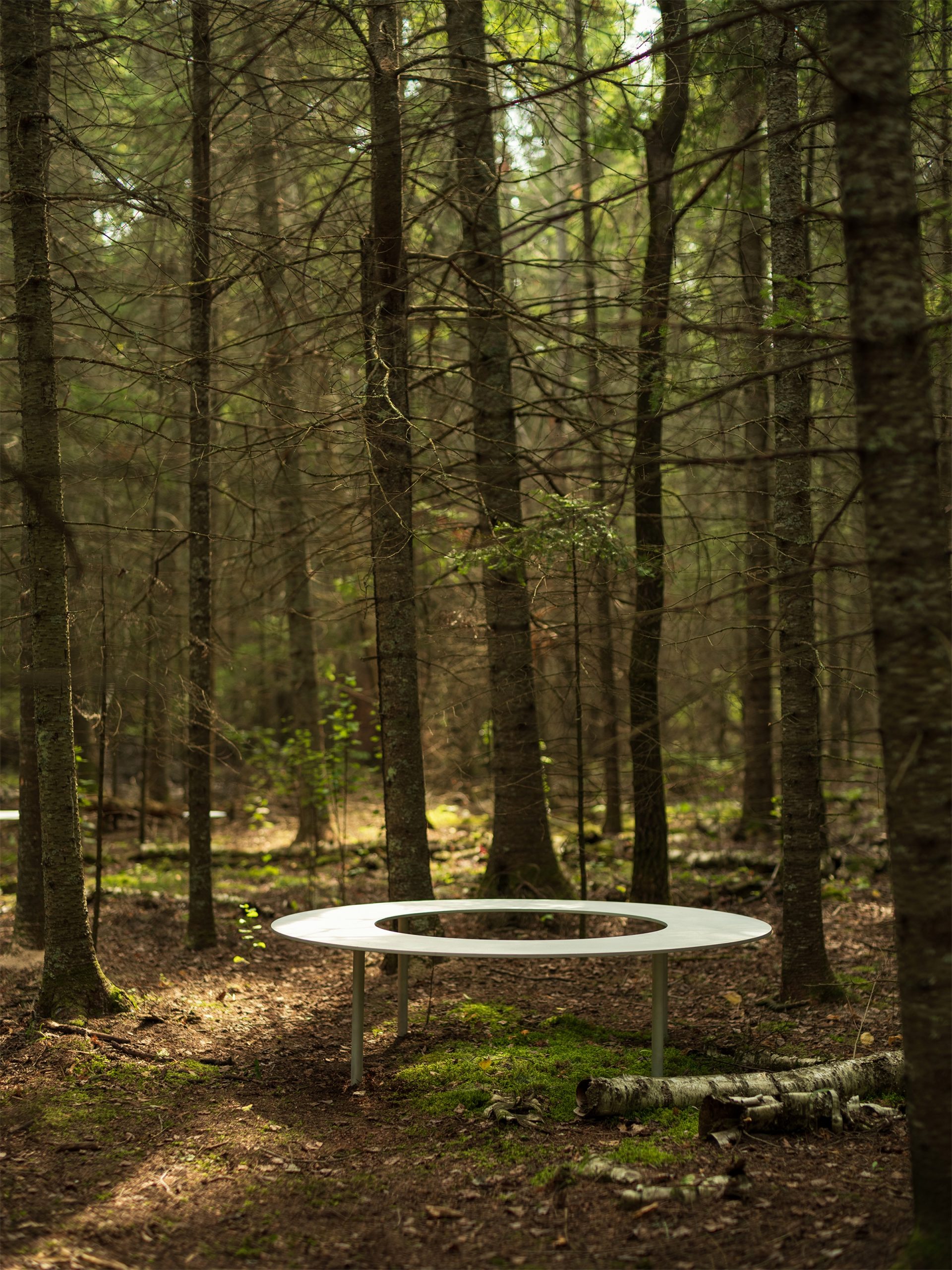 嵌套循环丨加拿大维多利亚丨Thom Fougere-4