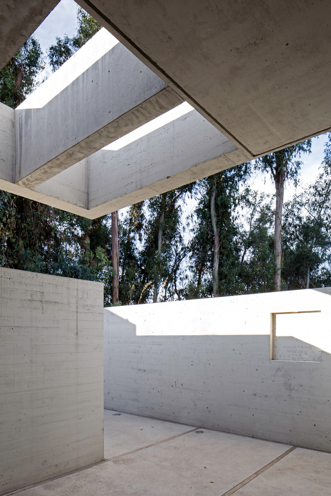 智利森林中的光影之家-23