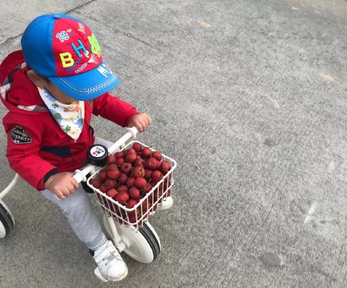 78岁爷爷改造荒废院子,为孙女建起一座花园-134