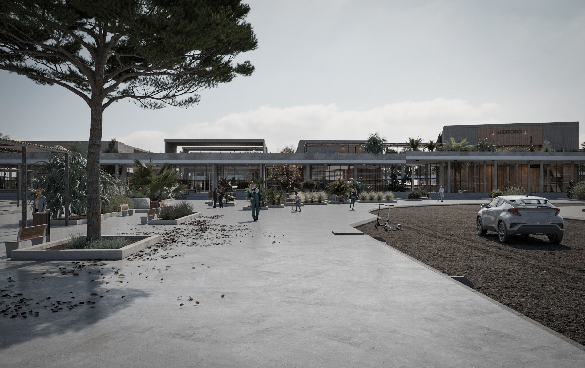 "COLLEGE ARTICULATOR"-8