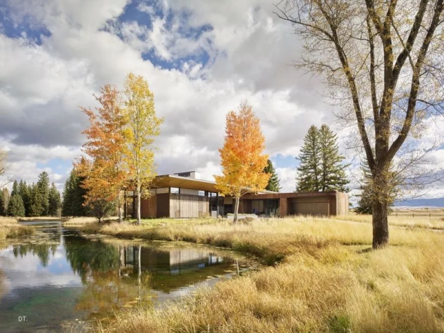 大自然的艺术表达,追寻空间生命之美-84