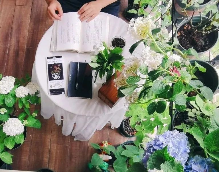 阳光花园梦 · 双阳台的治愈空间丨中国长沙丨好好住APP认证设计师@汤小糖SUGAR-33