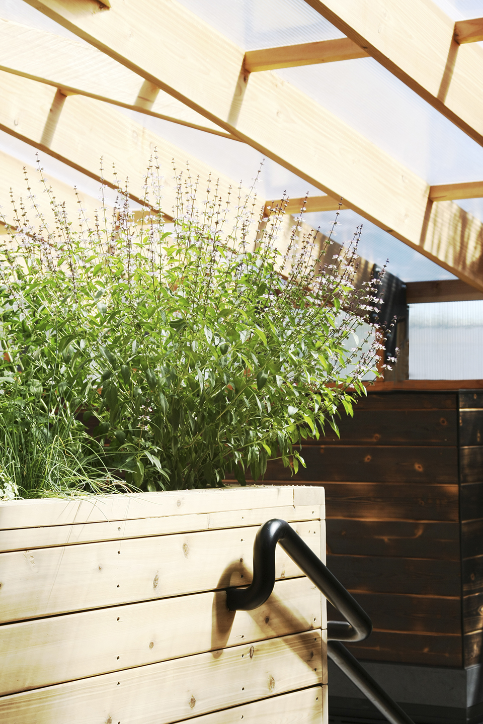 Home Away住宅，加拿大 / Studio North-42