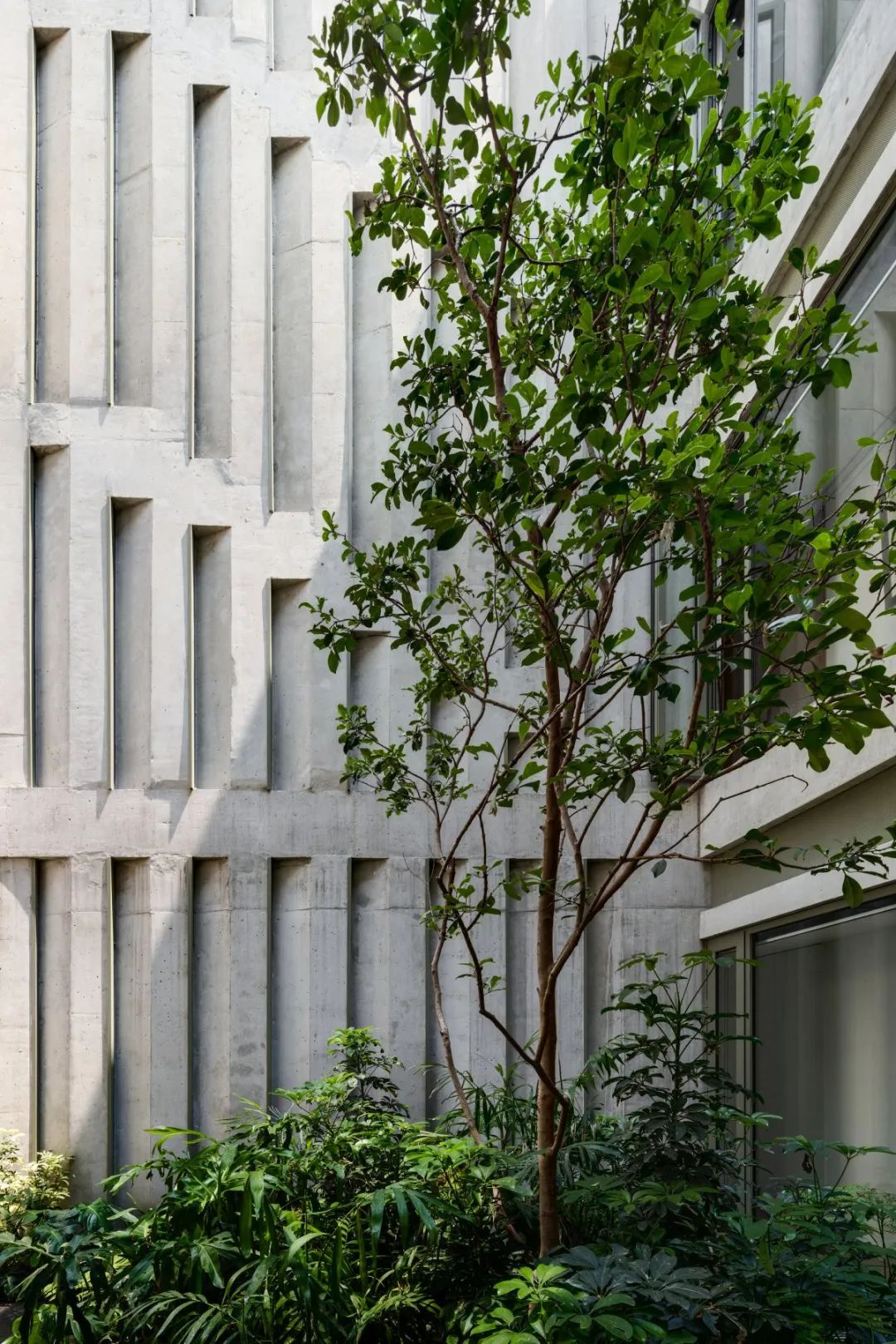 Progreso 地质博物馆与 CRA 住宅丨墨西哥丨Estudio MMX-58