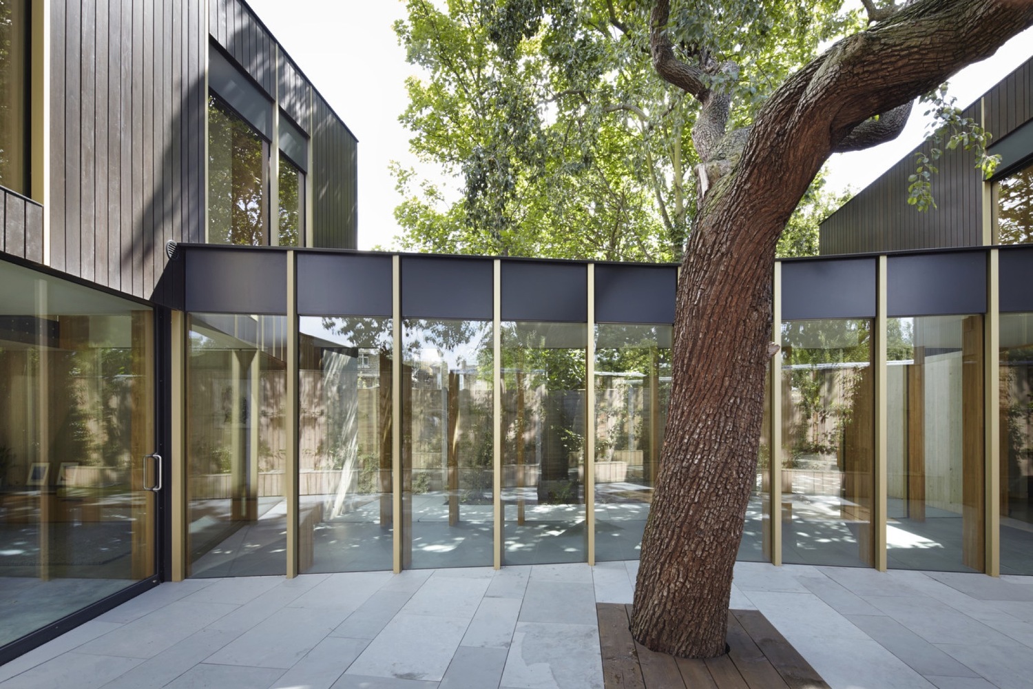 百年梨树下的生态家园-48