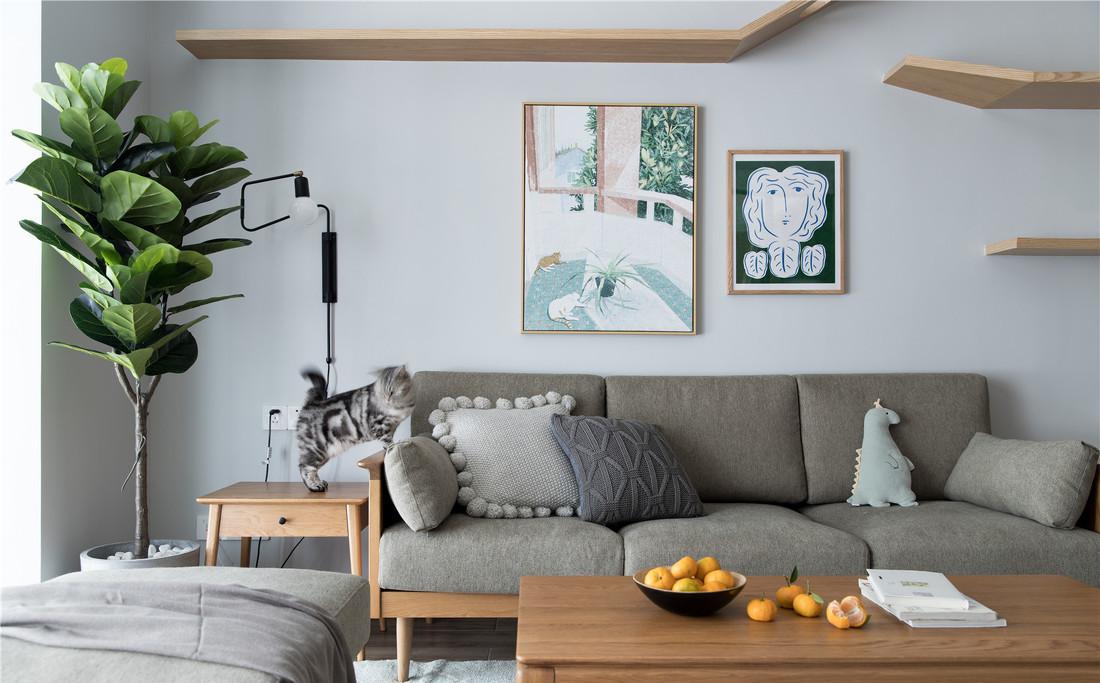 喵星人乐园 | 深圳小屋逆袭大宅-4