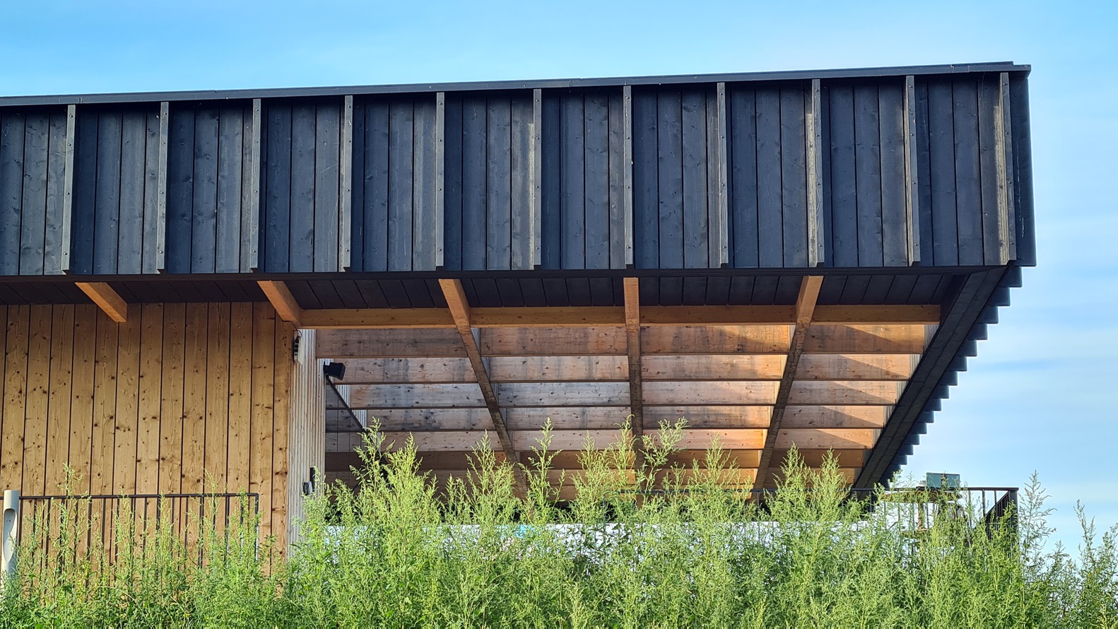 荷兰 MFA 湖边建筑 Brielle 酒店-10