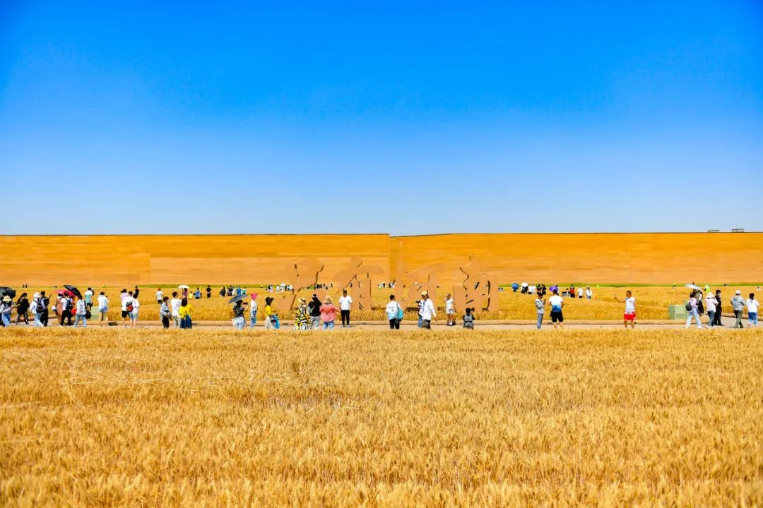 只有河南·戏剧幻城丨中国郑州丨吕元祥设计,永续设计等-34