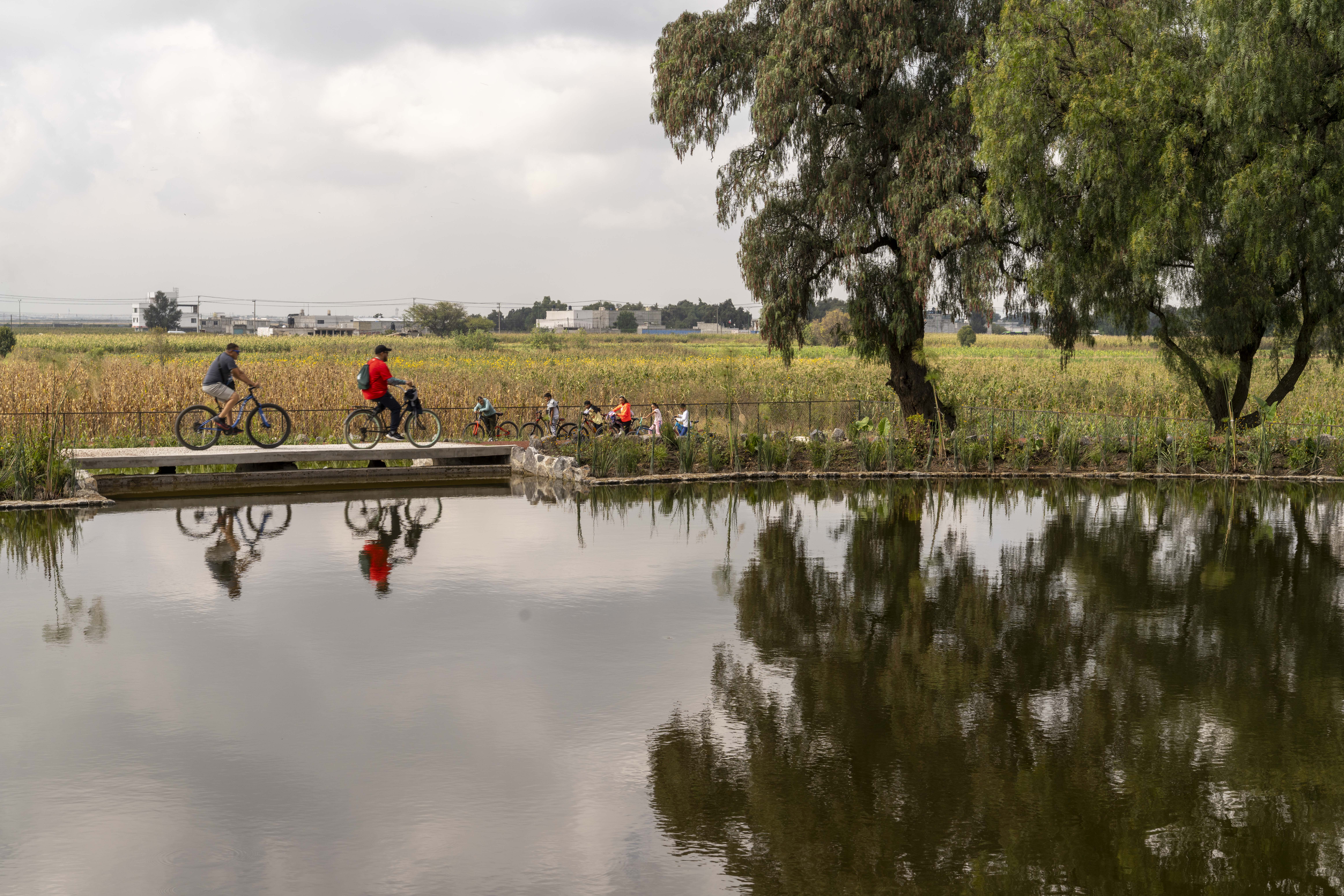 Pooling Xolo· · Taller Capital丨墨西哥-15