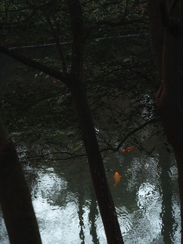 灵隐寺和永福寺丨中国杭州-17