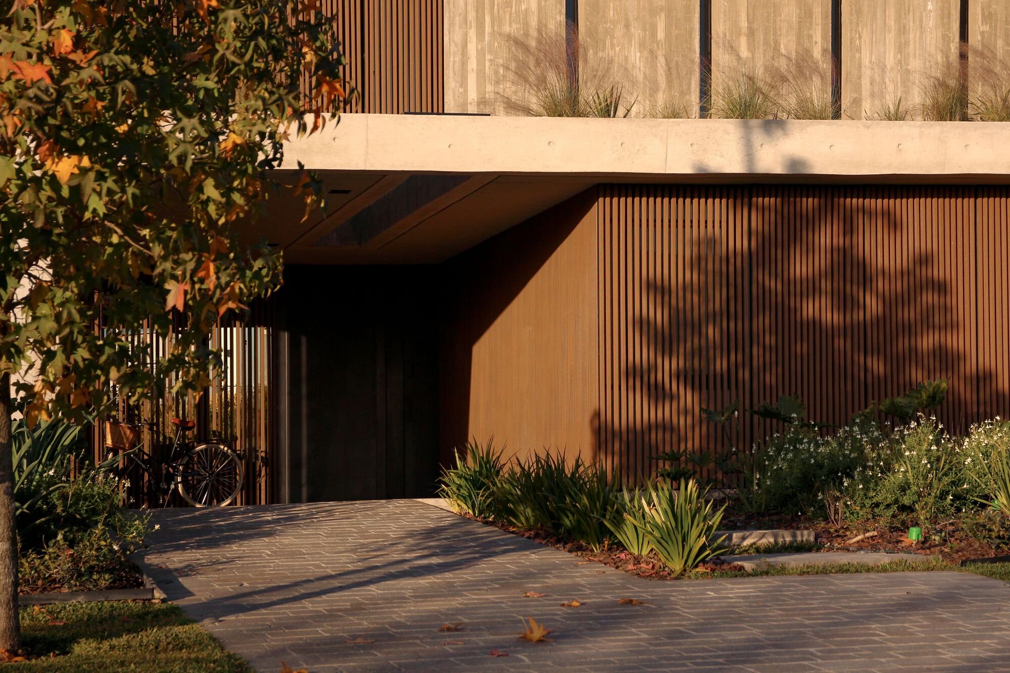 Tamiz 住宅丨阿根廷丨Gonzalo Bardach arquitectura-10