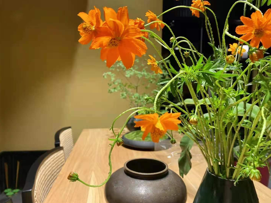 上海日式庭园民宿丨中国上海丨民宿主人-38