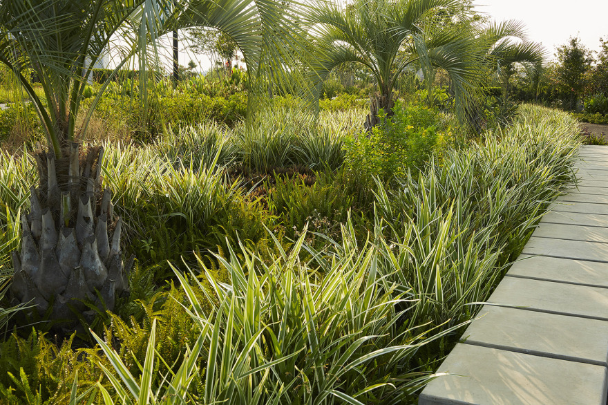 Crescent公园,美国 / EskewDumezRipple-48