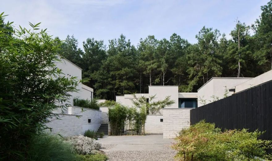 山谷松林里的隐世秘境之旅|PrivateJourneyinthePineryValley-117