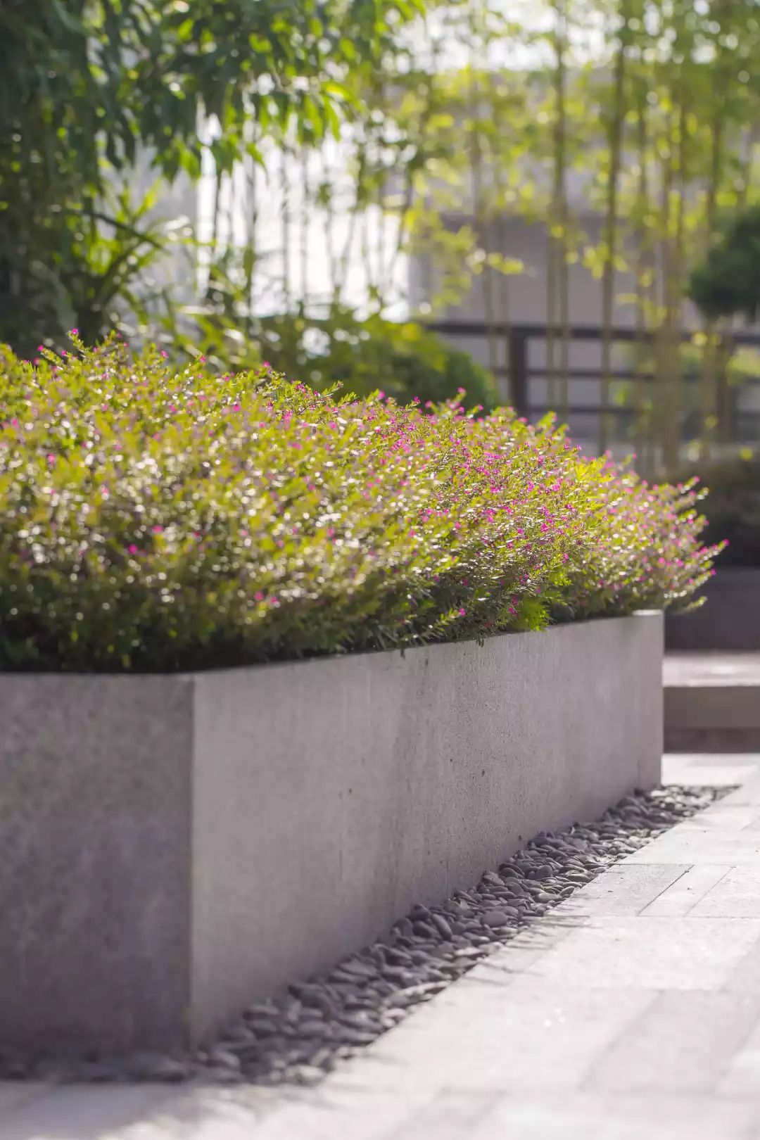 MEETTING CITY | 邂逅城市,和场地自然而然的产生共鸣-26