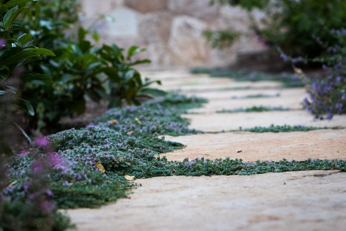 加州索诺马,现代经典庄园 / Lucas & Lucas-19